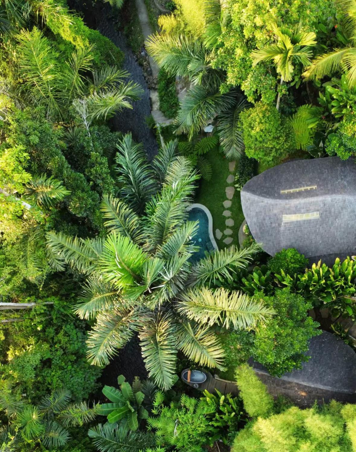 Wahem Eco Bamboo - Magical Bamboo House Ubud Bali Villa Exterior foto
